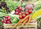 2024 St. James Vegetable Garden Contest To Be Held