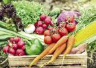 2024 St. James Vegetable Garden Contest To Be Held