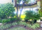 Joy And Troy Labat Awarded Garden Of The Month For Sept.
