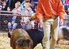 St. James 4-H Takes The Show At 84th Annual Southeast District Livestock Show!