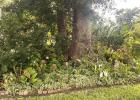 Norma & Mark Louque Awarded Garden Of The Month For August