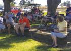 Rosary Crusade 2022