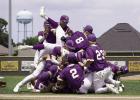 Bulldogs Dominate North DeSoto To Punch Ticket To Sulphur And State Baseball Tournament