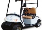 New Ordinance Calls For Council/Sheriff To Regulate Golf Carts/UTVs