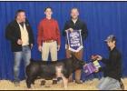 Champion Intermediate Swine Showman Alex Foret. Article Image Alt Text