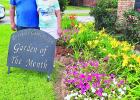 Riverside Garden Of The Month
