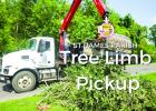 Parish To Temporarily Suspend Tree Limb Pick-up Service
