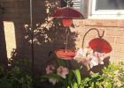Raymond And Cabrini Grob Named April Riverside Garden Of The Month