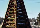 Thirty-third Bonfire Fest This Weekend