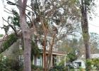 A home on Cypress Street was struck by a fallen tree. Ida Tears Through And Tears Up St. James Parish