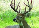 Ready, Set, Grow - Wildlife Field Day
