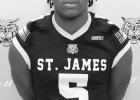 Wildcats Land Several On All-District &amp; All-State Teams