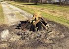 Above is the proper way to prepare a bonfire site for clean-up. One can also stack and burn the leftover remenants. Above is the proper way to prepare a bonfire site for clean-up. One can also stack and burn the leftover remenants.