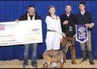 Champion Overall Goat Showman. Article Image Alt Text