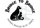 Bridge To Bridge Animal Rescue Group Is Up And Running And Ready To Explore Every Available Avenue To Help Solve St. James Parish’s Dog And Cat Problems