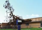 Cypress Grove Montessori Academy also was damaged by a tree that was blown over during Hurricane Ida. Ida Tears Through And Tears Up St. James Parish