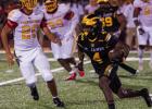 Tigers Hand Wildcats First Defeat