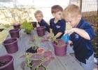 St. Peter Chanel PK3 Student News