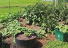 Ready, Set, Grow!