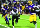 Bulldogs Survive First Round Test; Now Host St. Martinville