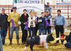 St. James 4-H Takes The Show At 84th Annual Southeast District Livestock Show!