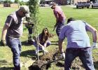Keep St. James Beautiful Sponsors Parishwide Clean-Up Day April 20