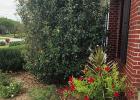 Riverside Garden Of The Month