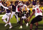 Bulldogs Advance To Quarterfinals With 35-12 Victory Over Abbeville; To Face Experienced Opelousas Team This Week