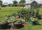 2022 small garden judged (Terri Meaney in Grand Point) Ready, Set, Grow; Garden Contest & Seminars - St. James