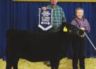 St. James 4-H Members Shine At Parish Livestock Show