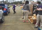 St. James Parish Food Distribution