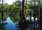 Wetlands Acadian Cultural Center Announces New Photography Exhibit Opening