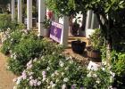 Raymond And Cabrini Grob Named April Riverside Garden Of The Month