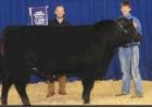 Overall Champion Beef Male. Article Image Alt Text