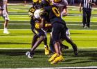Tigers Hand Wildcats First Defeat