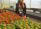 SJP FFA Chapter Annual Vegetable & Bedding Plant Sale SJP FFA Chapter Annual Vegetable & Bedding Plant Sale