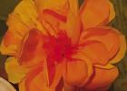 Keeping A Tradition Alive: Vacherie Native’s Wax Flowers To Be On Display At Jazz Fest