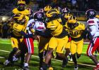Moving On Up! Wildcats Advance To Quarterfinal Round With Dominating Win Over Donaldsonville