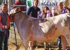 St. James 4-H Takes The Show At 84th Annual Southeast District Livestock Show!