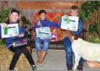 Article Image Alt Text