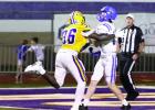 Bulldog Defense Squashes Terriers