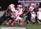 Wildcats Pick Up Where They Left Off In 2019 - Quashing
