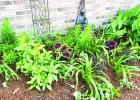 April’s Garden Of The Month