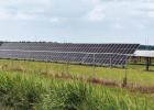 The photo above shows one of the current solar panels owned and operated by St. James Solar. These panels are located along LA 3127 (just west of Highway 20) on roughly 217 acres of land. St. James Solar is looking to expand their solar footprint in the V Solar Energy Company, Entergy To Hold Open House On Monday