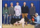 Overall Reserve Champion Market Pig Exhibited by Jaryn Darr. Article Image Alt Text