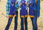 St. James 4-H Livestock Show 2020