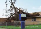 Cypress Grove Montessori Academy was damaged by a fallen tree. The Board was told on Tuesday that every school in the District had some type of damage. School Board Seeks Advanced Insurance Settlement To Pay Incoming Storm Related Bills